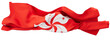 Vibrant Waving Flag of Hong Kong with Bauhinia Flower Emblem and Red Background