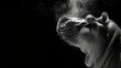   A monochrome image of a hippo gaping, smoke emanating from its mouth