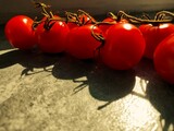 Fototapeta  - cocktail tomatoes, twig