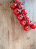 Fototapeta  - cocktail tomatoes, twig