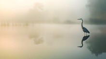 A Peaceful Image Of A Heron Standing In A Calm Pond, Reflected Perfectly In The Water, Surrounded By Soft Morning Light And Fog