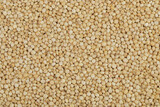 Fototapeta  - background of sorghum seeds. Top view. Flat lay.