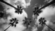 Upward View of Palm Trees Against Cloudy Sky