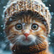 portrait of a cat wearing a cap with snow arround