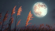full moon over a field 