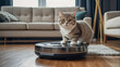 Cute cat, robot vacuum cleaner at home