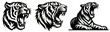 tiger black animal shape silhouette vector, monochrome print clipart illustration, laser cutting engraving nocolor