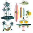 Collection of vector elements palm trees, skateboard,sunglasses and surfboards