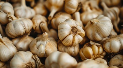 Poster - Close up of garlic heads on table