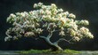 Lifelike Representation: 3D Model of Cornus Florida Tree