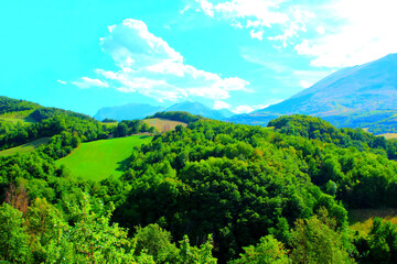 Wall Mural - Serene scenery from Montefortino with the uniform green carpet of the Marche hills between abundant trees and the enormous and majestic Sibillini mountains in the background under a bright cloudy sky