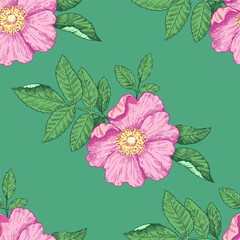 Wall Mural - Seamless pattern with wild rose flowers. Vector illustration in retro detailed style.