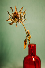 Blue Sea Holly Dry Prickly Flower In Red Glass Vase On Green Background. Vertical Still Life Decor For Interior Of A Stylish Home. Dishes And Flowers. Eryngium Bluegill. Winter Floral Bouquet Indoors.