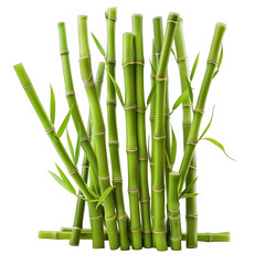  green bamboo sticks isolated on white background