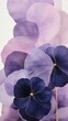 African violet flower purple petal.