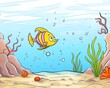 aquamarine fish swimming in reef