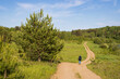 A woman walks along a country road. Back view of a tourist with a backpack walking along a dirt road through a meadow towards the forest. Traveling, hiking, eco-tourism in rural areas. Summer.