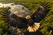 Eagle Soaring Above Marshlands