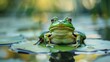 A whimsical green frog perched on a lily pad in a tranquil pond