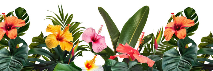 Tropical flower beds, vibrant with exotic blooms like hibiscus and bird of paradise, complemented by broad leaves, isolated on transparent background