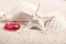 Composition With Star Fish, Red Pebbles And Shells On The Sand.