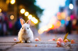 Enchanting Evening with a City Street Rabbit