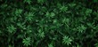 Lush Green Tropical Leaves Seamless Pattern