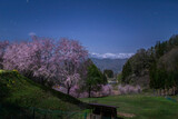 Fototapeta Kosmos - 小川村立屋展望台から月明かりに照らされた満開の桜と北アルプス