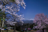 Fototapeta Kosmos - 小川村立屋展望台から月明かりに照らされた満開の桜と北アルプス