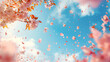  Image of blue sky and fallen cherry blossom petals
