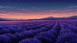 Twilight Over Lavender Fields with Starry Sky and Mountain Silhouette