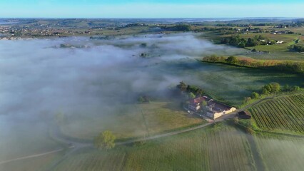 Wall Mural - Aerial view of Bordeaux vineyard at spring under fog, Loupiac, Gironde, France. High quality 4k footage