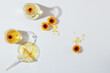 On a white background, laboratory flask decorated with fresh calendula flowers. Minimal background with blank space for cosmetics product of calendula extract presentation. Top view