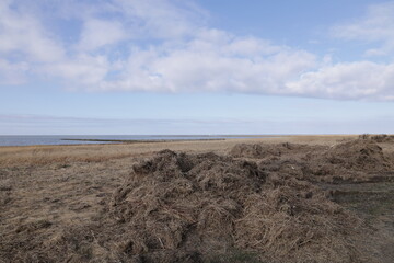 Poster - Blick auf die Küstenlandschaft bei Cuxhaven an der Nordsee	