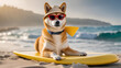 A Shiba dog wearing sunglasses and a stylish hat sits on a stylish yellow surfboard. beach background which indicates a good mood