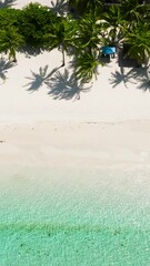 Wall Mural - Aerial view of beautiful beach with palm trees in the tropics. Bantayan island, Philippines.