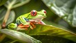 Vibrant Red-Eyed Tree Frog Perched on a Leaf in a Lush Jungle. Nature Scene Capturing Exotic Amphibian in Its Habitat. Perfect for Educational and Environmental Uses. AI