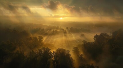 Poster - The sun rises over a fog-covered landscape, casting long shadows and creating a mystical ambiance of anticipation and possibility.