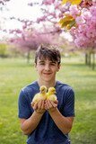 Fototapeta  - Beautiful children, boys, playing with little goslings in the park srpingtime