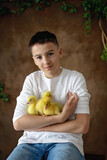 Fototapeta  - Happy beautiful child, kid, playing with small beautiful ducklings or goslings,, cute fluffy animal birds