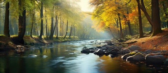 Sticker - A serene stream among forest rocks and trees