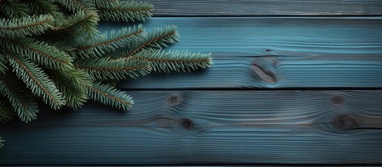 Fototapete - Pine tree branch on blue wooden surface