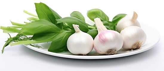 Aufkleber - Plate with garlic and green leaves