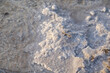 Detailed view of crystallized salt formations on the surface, highlighting the textures and natural patterns created.