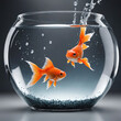 two goldfish in a classic tank bowl