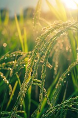 Poster - Close-up of a plant with water droplets, suitable for nature and botanical themes