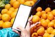 Mandarin fruit in hand and smartphone