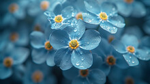 Close-up Of Delicate Forget-me-not Flowers With Tiny Blue Petals And Yellow Centers