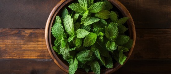 Leinwandbilder - Fresh mint leaves in a wooden bowl