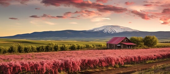 Poster - House in Field with Mountain Background